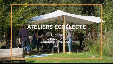 Veduta 21/22 - Ateliers Écollecte à L'îloz du Grand Parc Miribel Jonage.